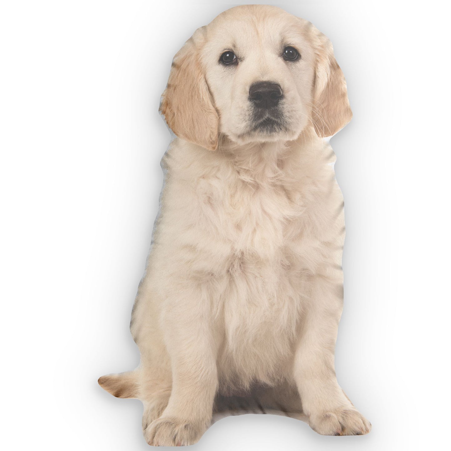 Custom 3D Pet Pillow – Personalized Pet-Shaped Cushion with Double-Sided Print | Large Memorial Gift for Pet Loss or Mother’s Day