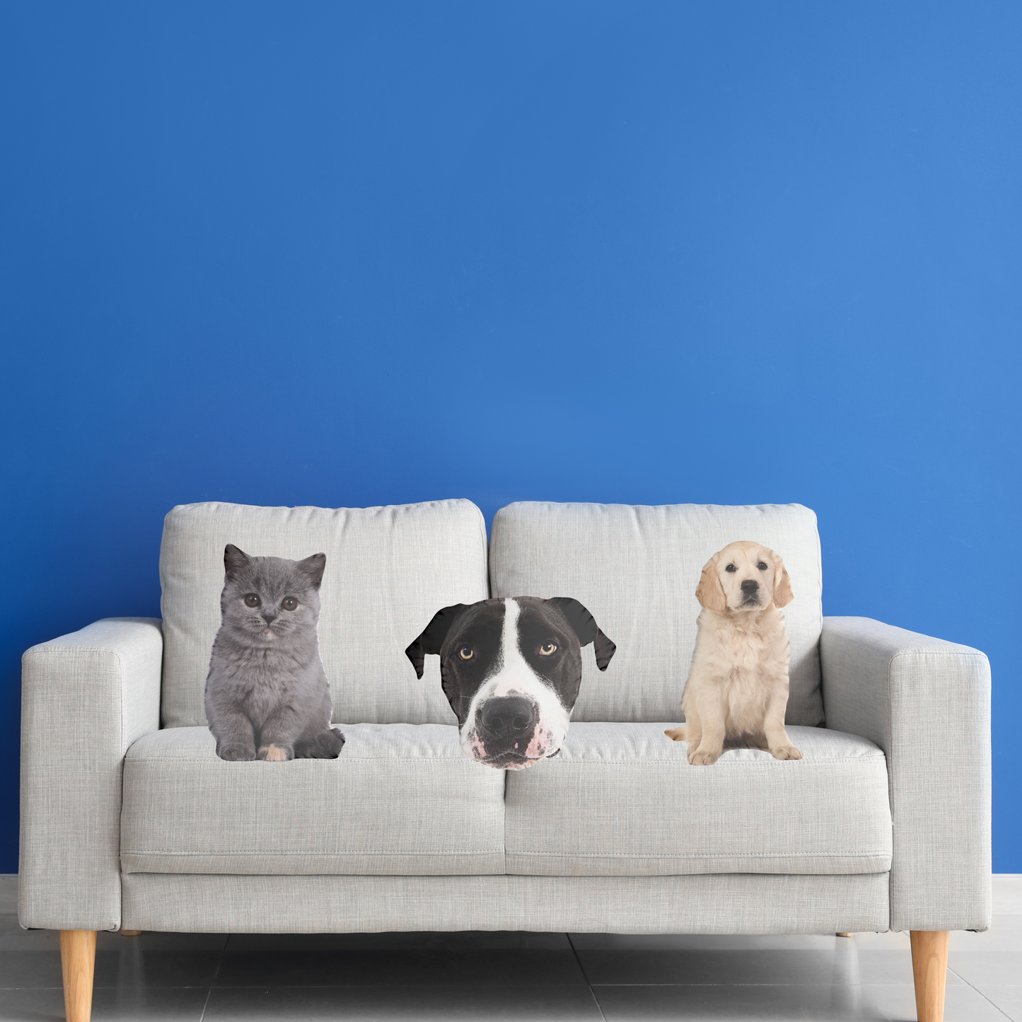 Custom 3D Pet Pillow – Personalized Pet-Shaped Cushion with Double-Sided Print | Large Memorial Gift for Pet Loss or Mother’s Day