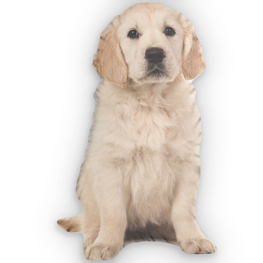 Custom 3D Pet Pillow – Personalized Pet-Shaped Cushion with Double-Sided Print | Large Memorial Gift for Pet Loss or Mother’s Day