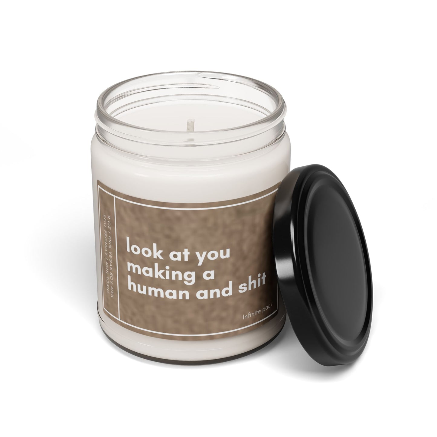 Scented Soy Candle “Look at You Making a Human” 9oz