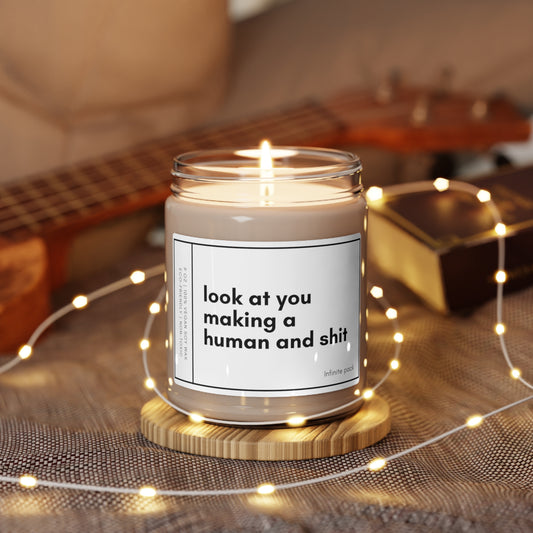 Look at You Making Human & Shit Candle, Gift for Friend